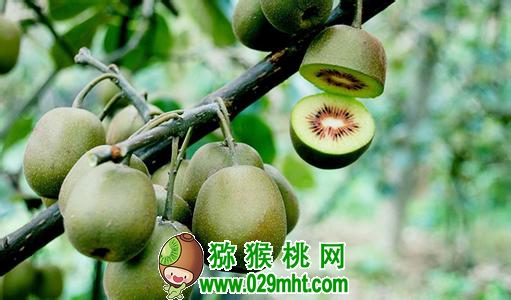 豪门国际官方网站图片