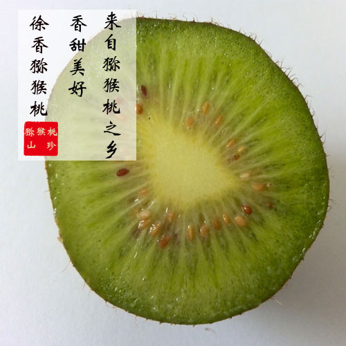 徐香豪门国际猕猴桃