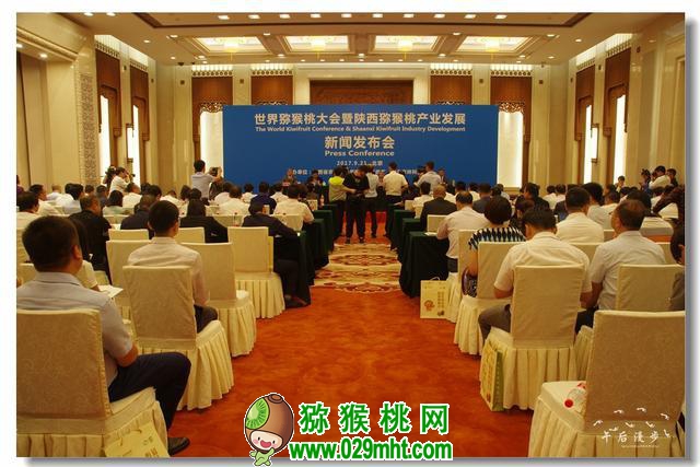 豪门国际官方网站图片