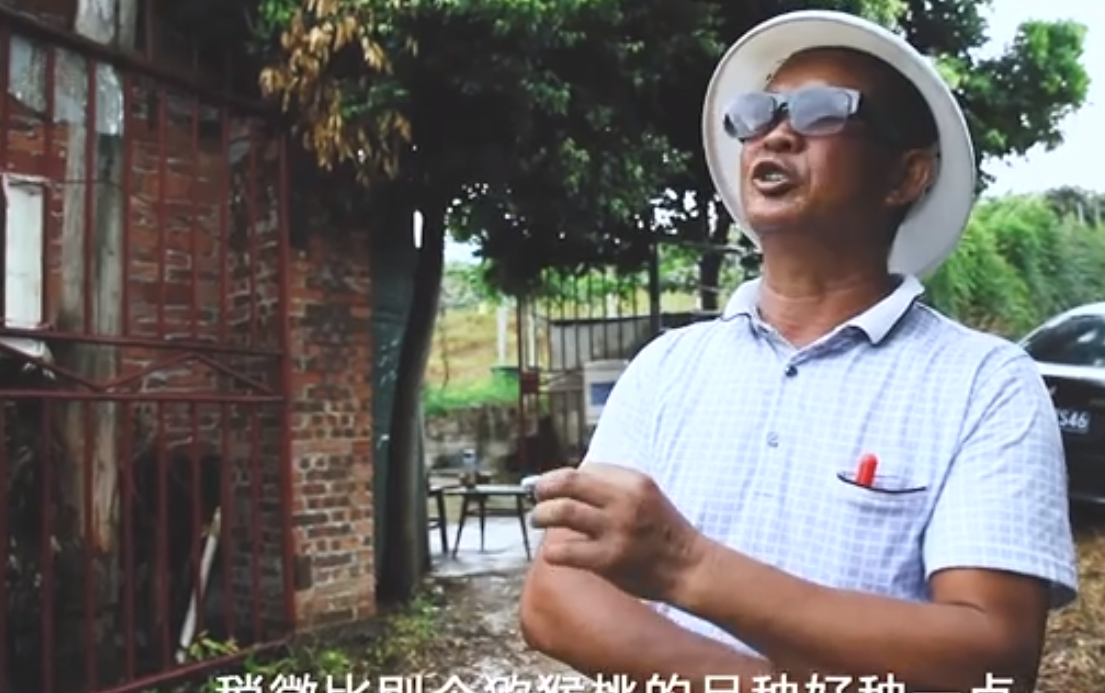豪门国际官方网站图片
