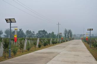 豪门国际 74a56