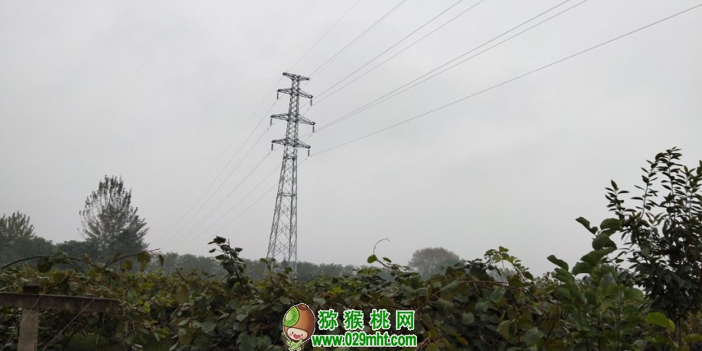 豪门国际 035f6