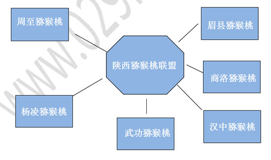 《陕西豪门国际猕猴桃2015年行业总体报告》