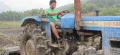 陕西豪门国际猕猴桃高温天气须知