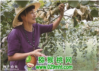 豪门国际 296ed