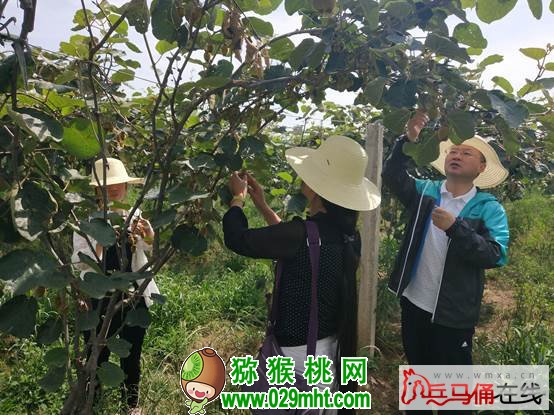 豪门国际 e28b2