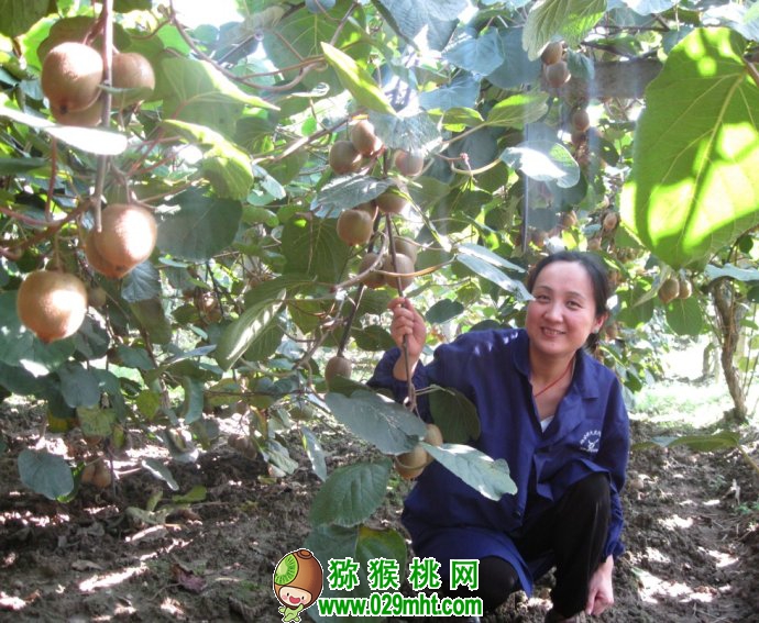 豪门国际官方网站图片