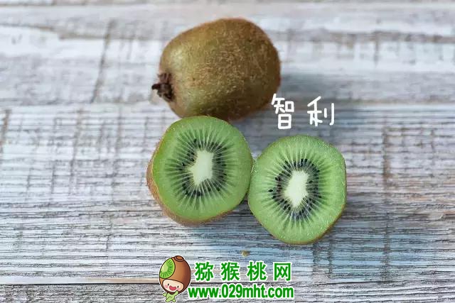 豪门国际官方网站图片