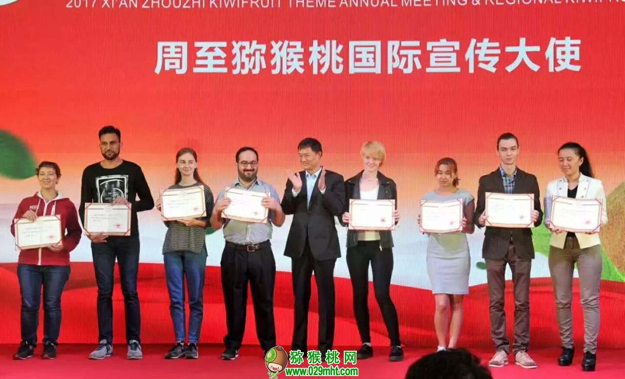 豪门国际官方网站图片