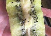 吃了一个大豪门国际猕猴桃