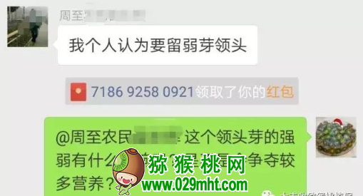 豪门国际官方网站图片