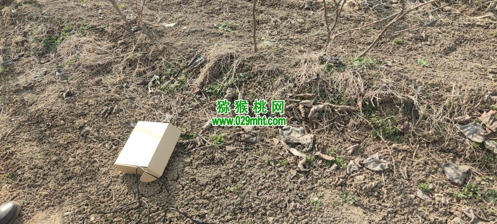 豪门国际官方网站图片
