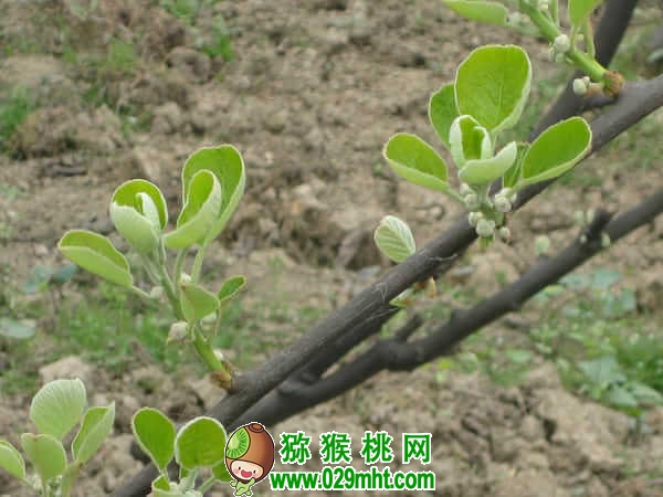 豪门国际官方网站图片