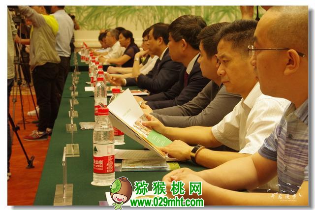 豪门国际官方网站图片