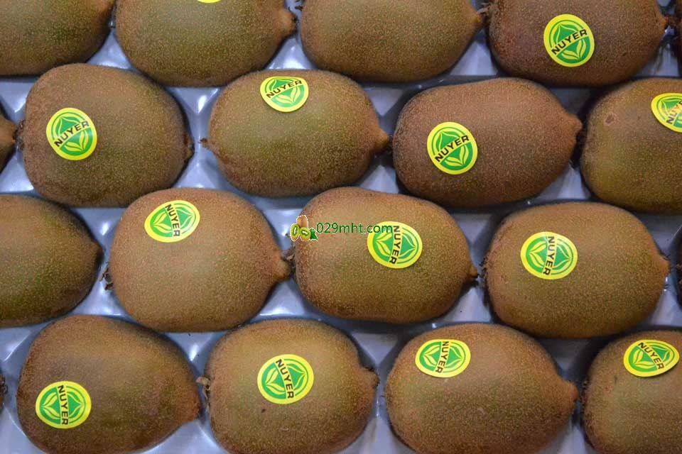 黄肉<a href=http://www.linux-china.com/mht/huayou/ target=_blank class=infotextkey />华优豪门国际猕猴桃</a>画报第一季