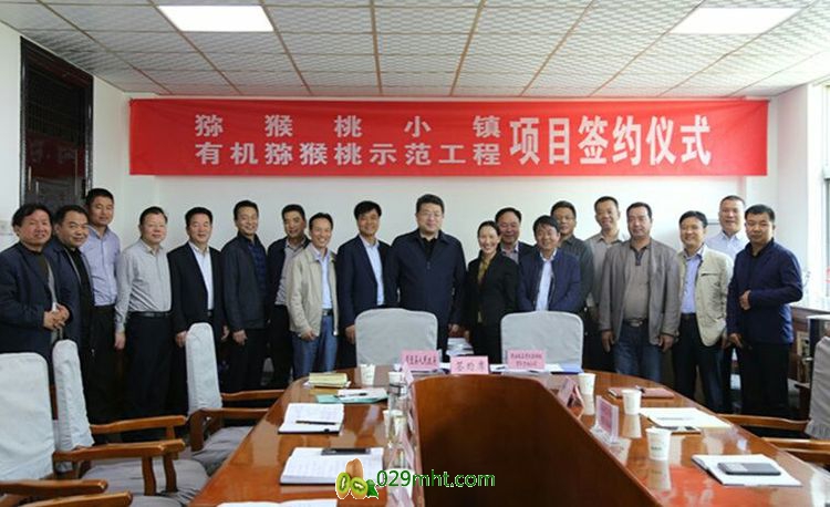 豪门国际官方网站图片