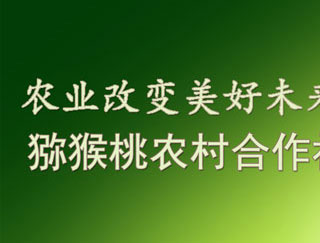 豪门国际 6e1f4