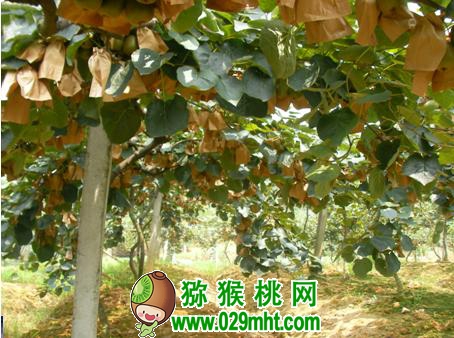 豪门国际官方网站图片