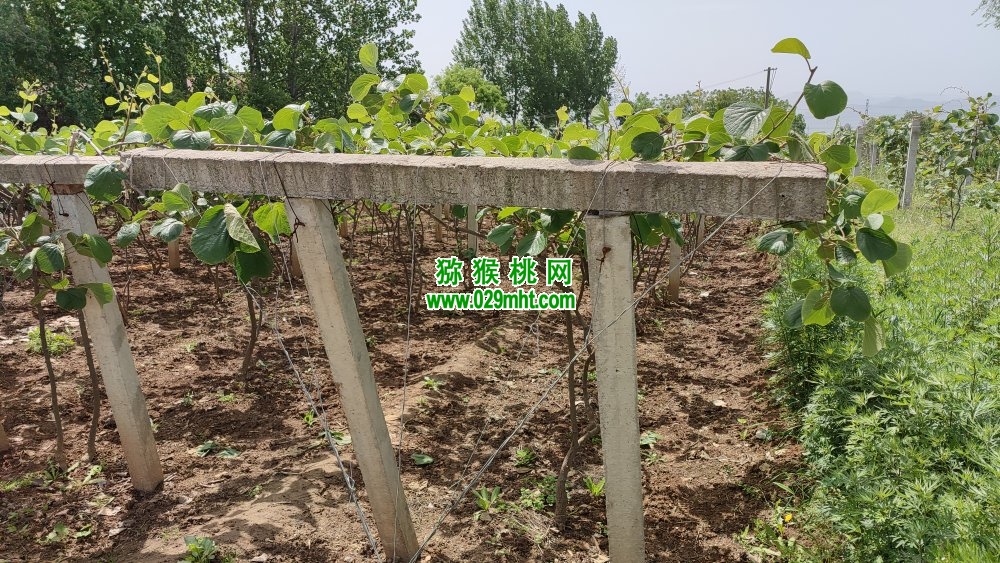 豪门国际 7ce46