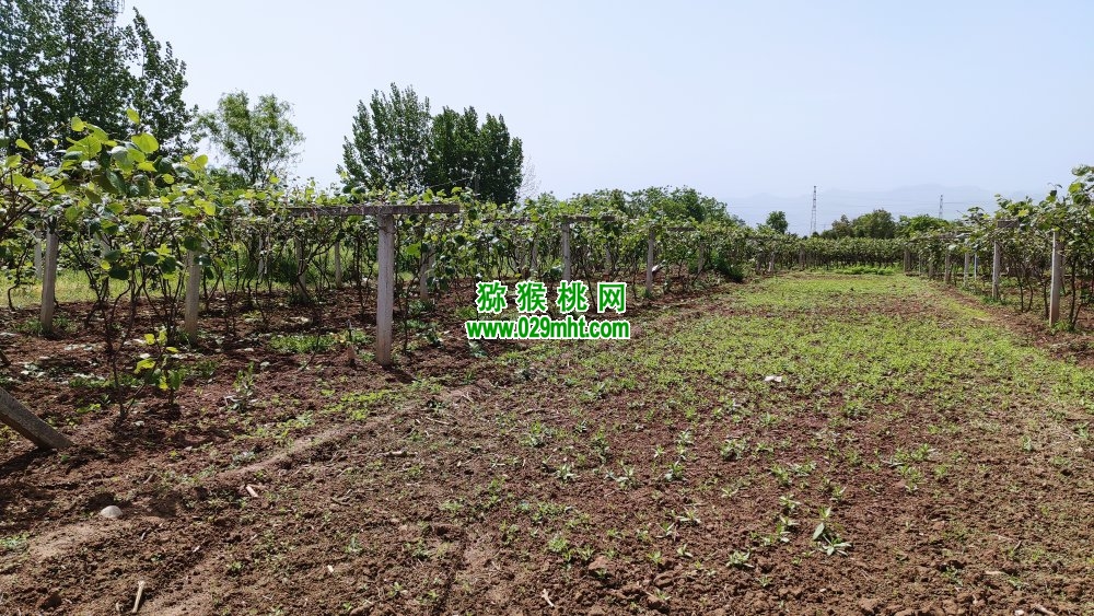 豪门国际 221ef