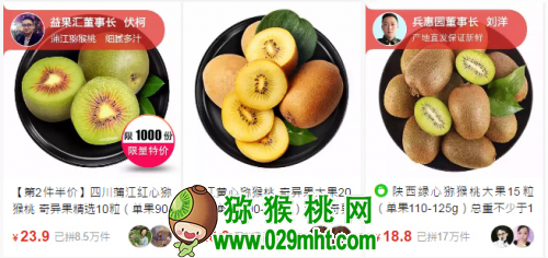 豪门国际官方网站图片