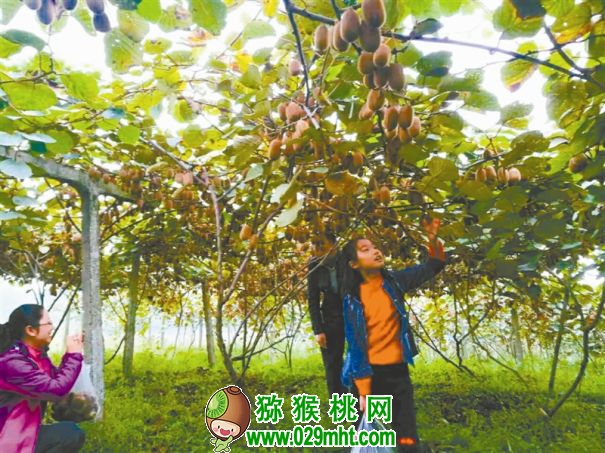 豪门国际官方网站图片