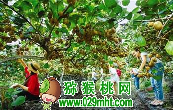 （顾俊许大才/摄）