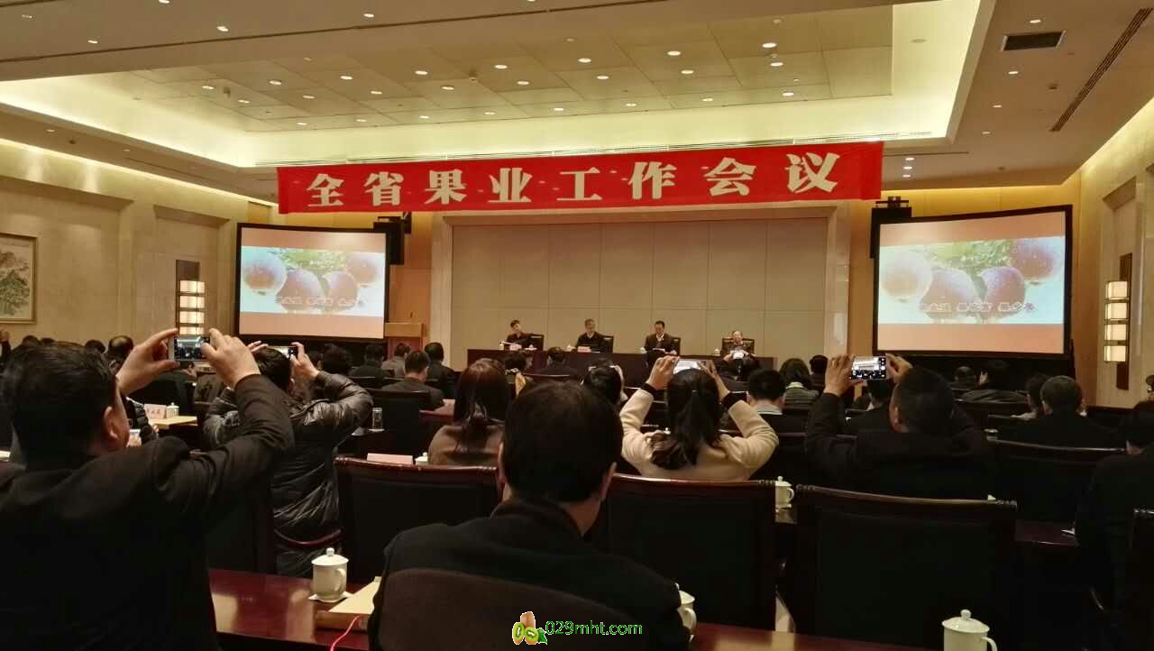 豪门国际 5ea40