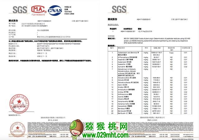 豪门国际官方网站图片