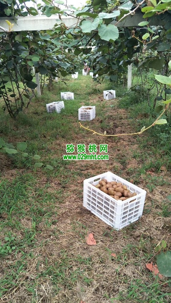 豪门国际 5ec1d