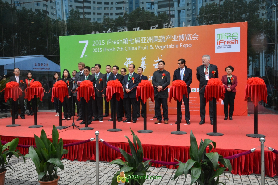 豪门国际官方网站图片