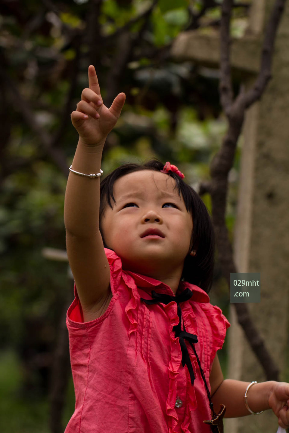 豪门国际猕猴桃<a href=http://www.linux-china.com target=_blank class=infotextkey />奇异果</a>图片3.jpg