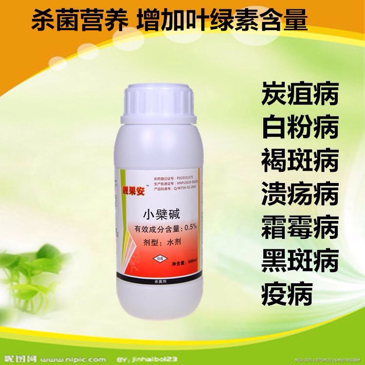 豪门国际 1f28b