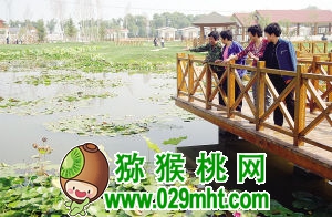 津沽乡村这最美（图）