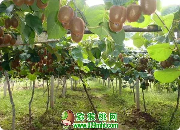 豪门国际官方网站图片