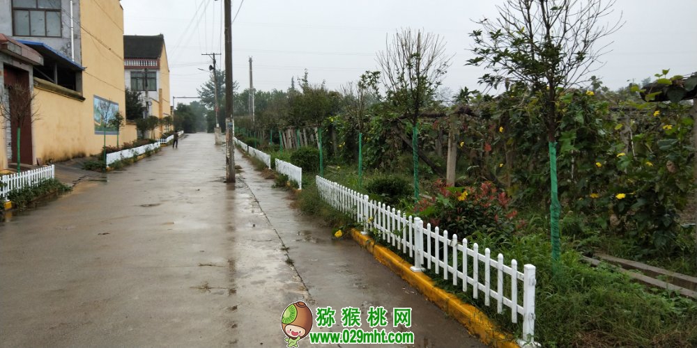 豪门国际 705d7