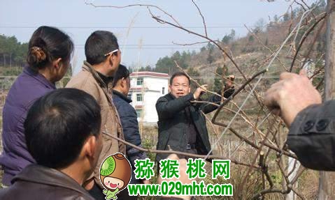 豪门国际官方网站图片