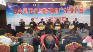 豪门国际官方网站图片