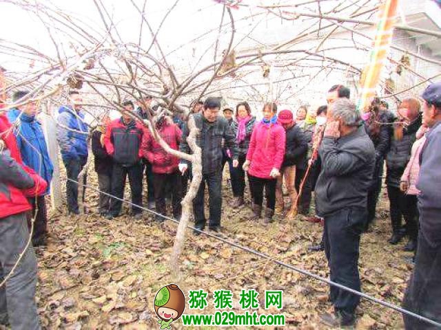 豪门国际 152ff