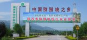 眉县豪门国际猕猴桃图片