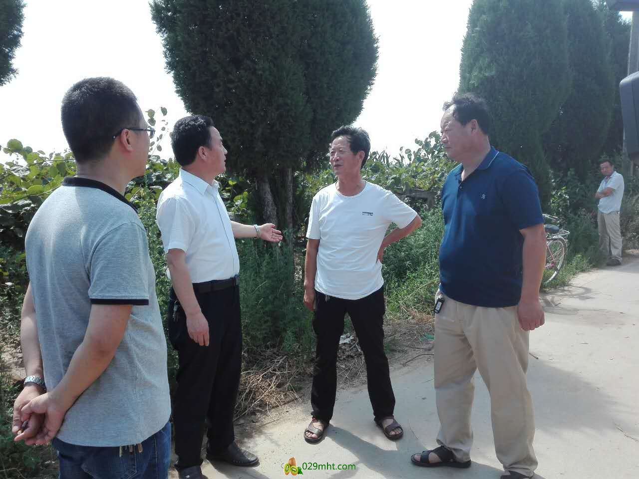 豪门国际官方网站图片