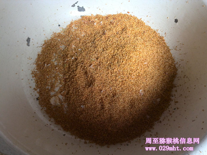 豪门国际官方网站图片