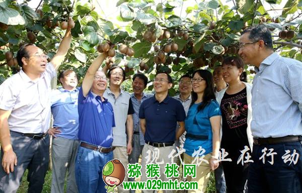 <a href=http://www.linux-china.com/shanximihoutao/ target=_blank class=infotextkey />陕西豪门国际猕猴桃</a>首席科学家刘占德