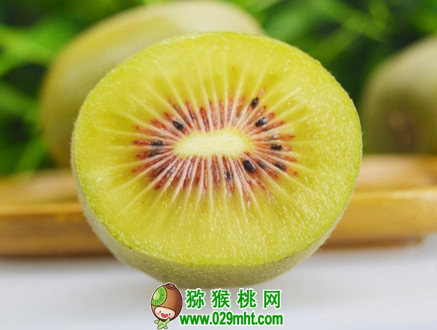 豪门国际官方网站图片