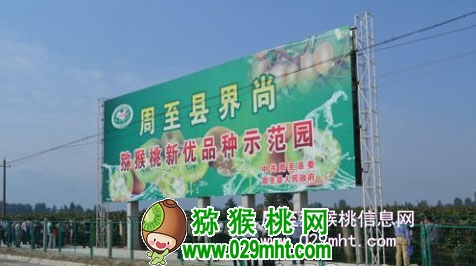 豪门国际 77b17