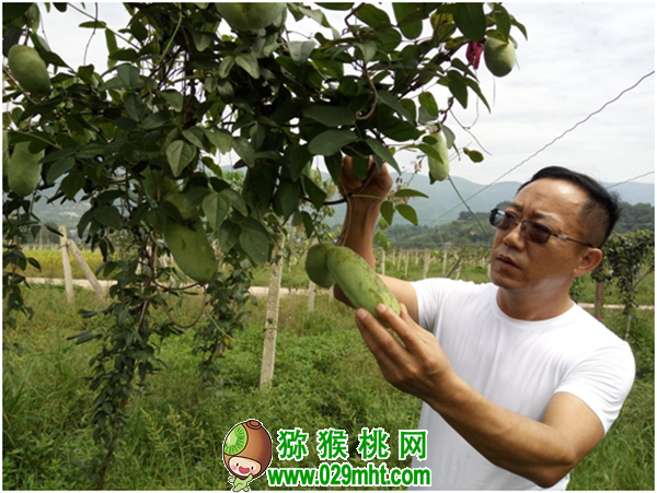 豪门国际官方网站图片