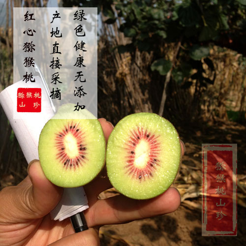 西安<a href=http://www.linux-china.com/mht/hongxin/ target=_blank class=infotextkey />红心豪门国际猕猴桃</a>