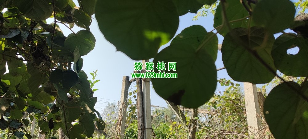 豪门国际 01aae