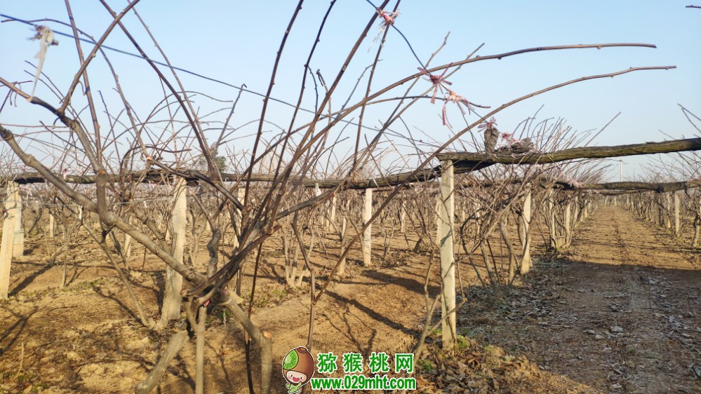 豪门国际 3b845