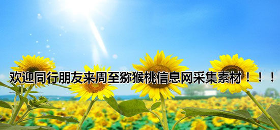 欢迎同行来<a href=http://www.linux-china.com/zhouzhimihoutao/ target=_blank class=infotextkey />周至豪门国际猕猴桃</a>信息网采集素材.jpg